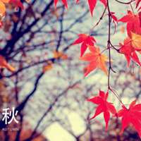 风景代荣字微信头像