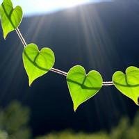 我在看孤独风景头像