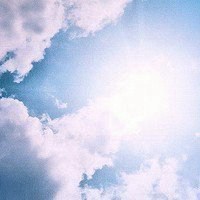 微信头像风景幸福花