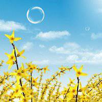 微信头像风景2018男