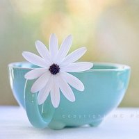 风景人物图情侣头像带字