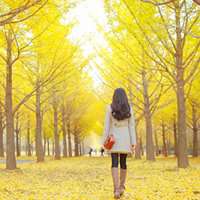 微信头像山水村庄风景