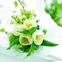 微信头像风景唯美动态下载