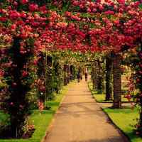 风景头像+霸气+微信头像