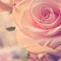 爬山山水自然风景头像