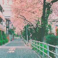 微信头像红色系风景