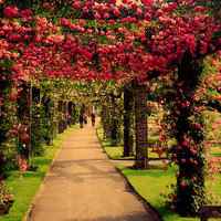 风景情侣头像一人一张