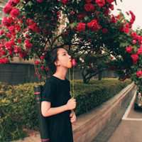 山风景能作为微信头像吗