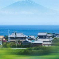 风景中小花唯美特写头像