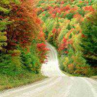 四个人闺蜜头像风景