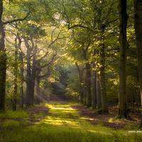 炫舞头像海洋名片风景