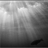 风景中带佛头像