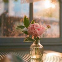 新海诚高清风景头像