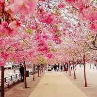 风景人物图头像女生