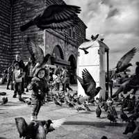 风景情侣头像男女分开