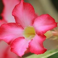 浅蓝系风景头像