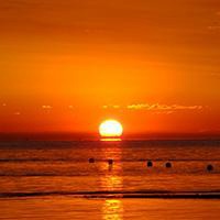 男生头像风景竹