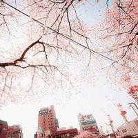 微信头像风景男生高清头像