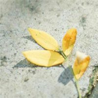 我在看孤独风景头像