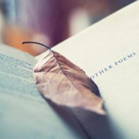 微信头像是风景性格