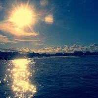 古装梨花风景美女头像