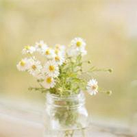 寻找一个风景当头像