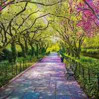 微信女生头像风景带人