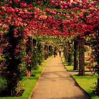 微信头像风景男生头像