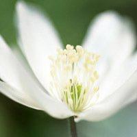 微信头像风景伤感个性网