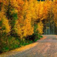 微信头像瀑布风景动态