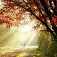 白边男生头像风景图