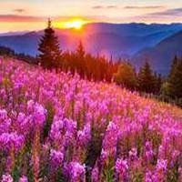 微信风景情侣头像一左一右