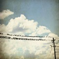 微信头像带风景好不好