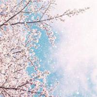 风景可以做微信头像