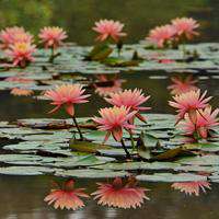 四个人闺蜜头像风景