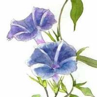 微信头像风景唯美动态