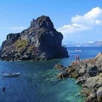 手机头像绿色风景搜索