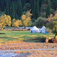 新款头像2018招财风景