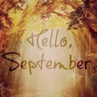 带字风景微信头像唯美小清新