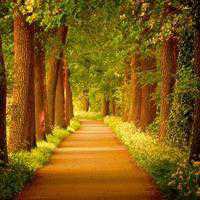 唯美忧伤风景女生头像