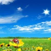 q友乐园森系风景头像