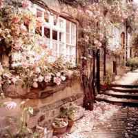 用风景做微信头像男人