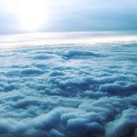 白底风景向日葵头像