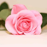 用风景做头像人心态