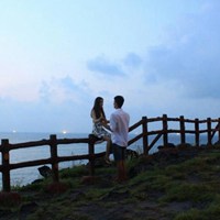 大自然风景头像有鸟