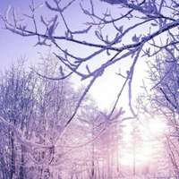 超好看风景微信头像