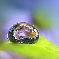 颓废意境风景头像女生