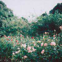 成年男人微信风景头像