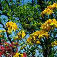 文艺风景头像女