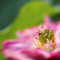 微信头像黑白伤感风景